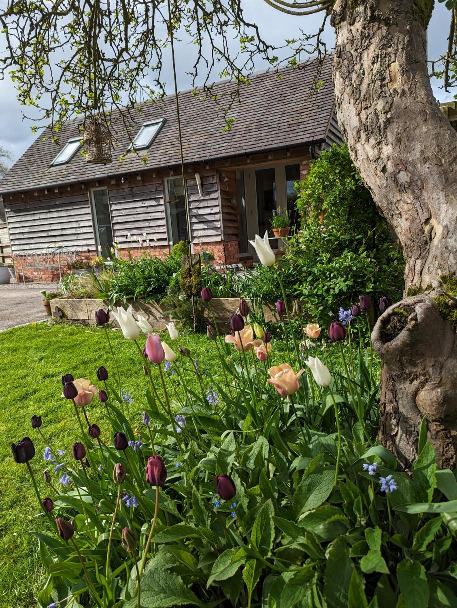 The Dorm Bed And Breakfast Eccleshall Buitenkant foto