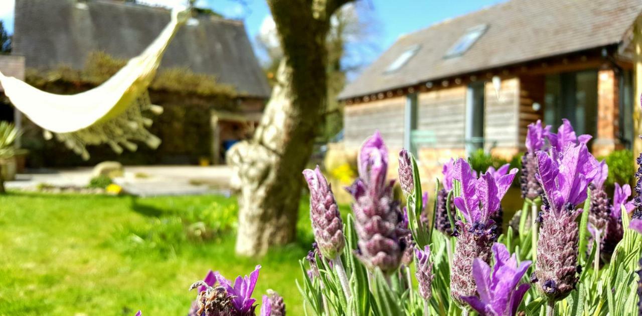 The Dorm Bed And Breakfast Eccleshall Buitenkant foto