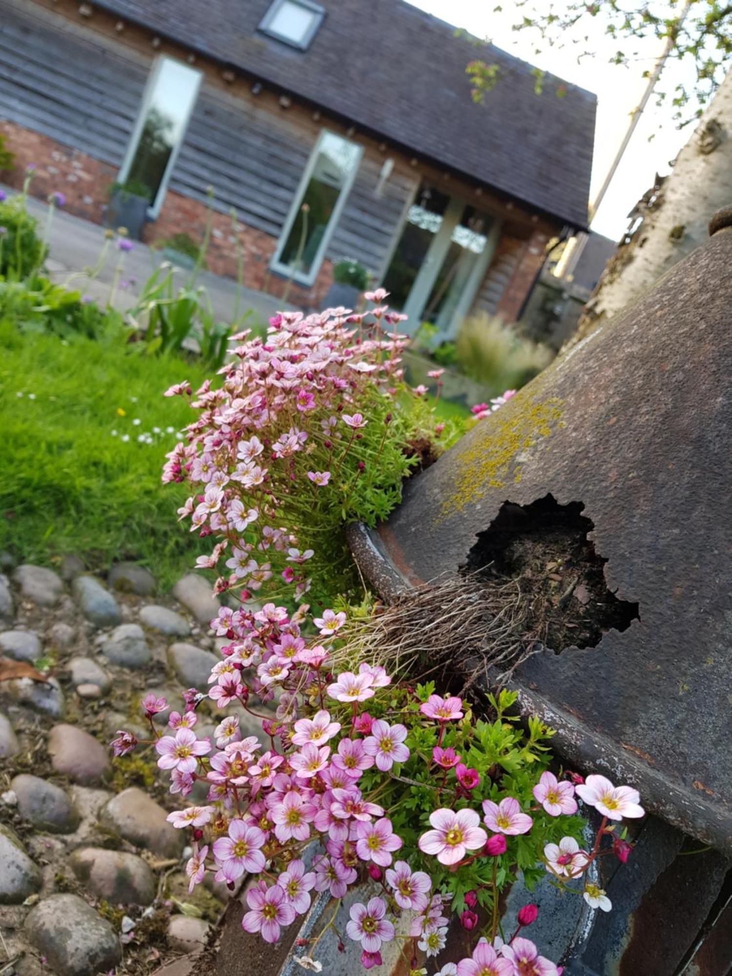 The Dorm Bed And Breakfast Eccleshall Buitenkant foto